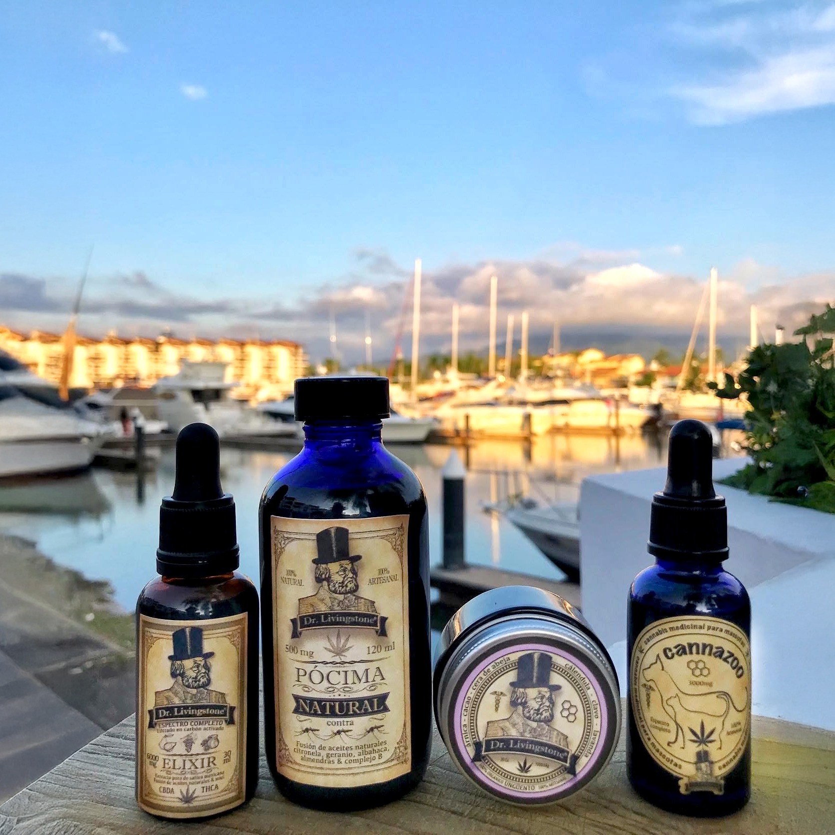 TIENDA DR. LIVINGSTONE